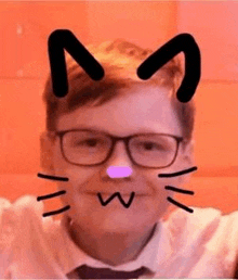 a young man wearing glasses and a tie is wearing a cat mask .