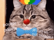 a cat with a clown nose and a bow tie says pouete pouete je suis un poti blagueur