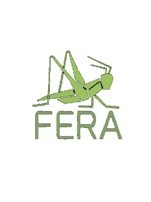 a drawing of a grasshopper with the word fera below it