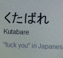 a computer screen displays a foreign language that says " fuck you "