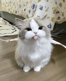 a cat with its tongue hanging out is sitting on the floor