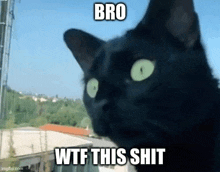 a black cat with green eyes is looking out of a window with the words `` bro wtf this shit '' written on it .