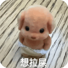 a stuffed animal with asian writing on it