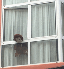 a stuffed monkey looks out of a window