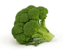 a broccoli head is sitting on a white surface .