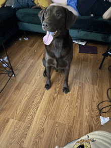 a brown dog with its tongue hanging out is sitting on a wooden floor