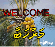 a painting of a palm tree with the words welcome in red