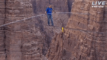 a man in a blue shirt is walking on a tightrope over a canyon .