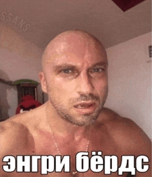 a shirtless bald man with a beard is looking at the camera with the words " ssans " on the bottom right