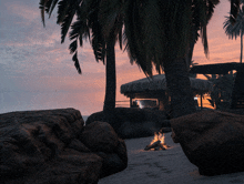 a sunset over a beach with palm trees and a small hut