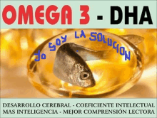 a fish in a bowl of omega 3 dha capsules