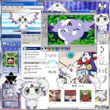 a windows media player screen shows a collage of images