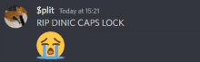 a screenshot of a discord conversation with a crying face and the words split today at 15:21 rip dinic caps lock