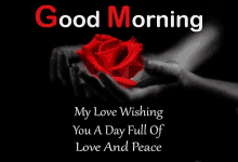 a person holding a red rose in their hands with the words " good morning my love wishing you a day full of love and peace "