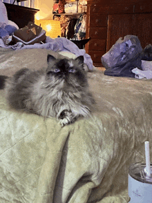 a cat laying on a bed next to a tumbler that says ' a ' on it