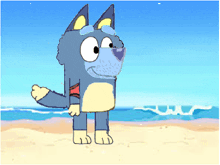 a cartoon dog is standing on a beach near the water