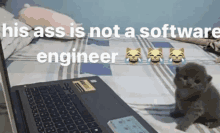 a kitten sits on a bed next to a laptop with the words his ass is not a software engineer above it