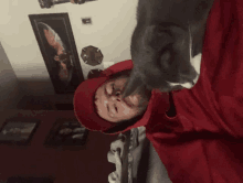 a man in a red hat is laying on a bed with a cat licking his face