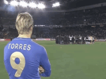 a soccer player wearing a blue jersey with the name torres on the back is standing on the field .