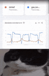 a black and white cat is looking at a graph that says dota2 on it