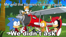 a cartoon of sonic the hedgehog and his friends with the caption " me and the homies chilling cause "