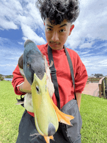 a boy in a red shirt is holding a duck in his arms