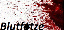 the word blutfotze is written in black on a white background