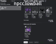 a screenshot of a trade with npccrowball