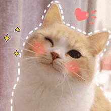 a close up of a cat 's face with a heart on its head