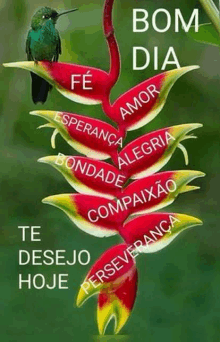 a hummingbird is perched on a flower with the words bom dia