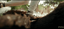 a close up of a person 's foot on a tree trunk with pvcu written in the bottom right corner