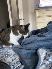 a cat laying on a bed looking at a tv screen that says chris is reading the bike