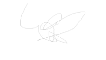 a drawing of a bird with a few lines on a white background