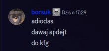 a screenshot of a chat with borsuk adiodas and dawaj apdejt