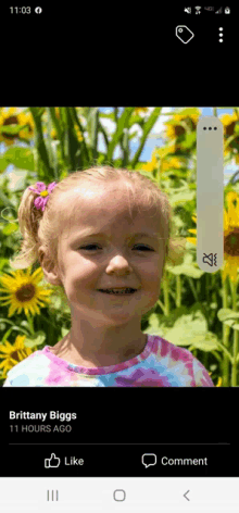 a little girl is smiling in front of a field of sunflowers and is named brittany biggs