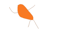 a drawing of an orange object with a face and arms