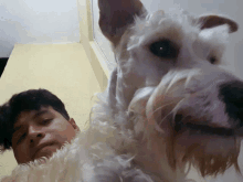 a man laying on a fluffy blanket next to a small white dog