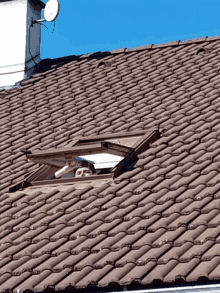 a man looks out of a skylight on a roof