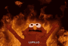 elmo is surrounded by flames and the word lupillo is on the bottom right