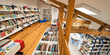 a library filled with lots of books including one that says ' ariel '