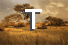 the letter t is displayed in front of a field of grass