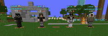 a group of people standing in a minecraft world with their levels shown