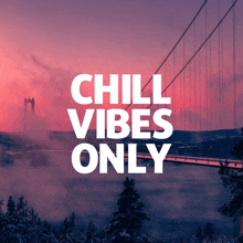 a picture of a bridge with the words chill vibes only below it