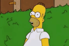 homer simpson is standing in the grass with his mouth open and his eyes wide open .