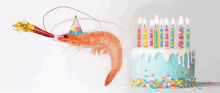 a shrimp is wearing a party hat next to a birthday cake with candles