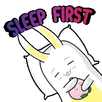 a cartoon bunny is laying on a pillow with the words sleep first written above it