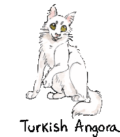 a drawing of a white turkish angora cat with yellow eyes