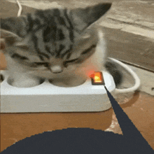 a kitten is playing with a power strip with a red light on it