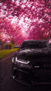 a black audi rs6 is parked under a row of cherry blossom trees