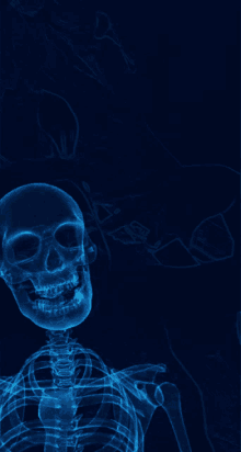 an x-ray of a skeleton against a dark blue background